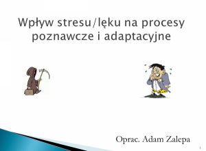 WPŁYW STRESU/LĘKU NA PROCESY POZNAWCZE I ADAPTACYJNE