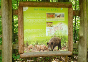 XII RAJD - ROWEREM I PIESZO WZNIESIENIA ŁÓDZKIE CIESZĄ