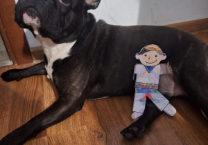 FLAT STANLEY PROJEKT