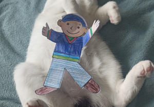 FLAT STANLEY PROJEKT