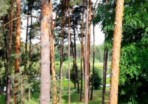 2-DNIOWA WYCIECZKA klas 5a i 5b