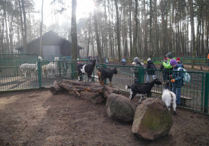 MALUTKIE RESORT CZYLI AKCJA INTEGRACJA