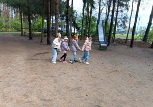 My i nasze miotły.
