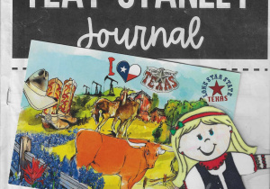 FLAT STANLEY PROJEKT