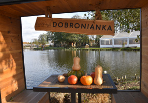 WSPOMNIENIA Z WYCIECZKI DO DOBRONIANKI