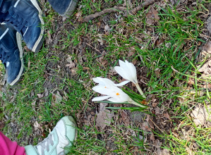 Spacer śladami wiosny