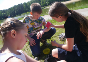 Piknik 5b